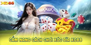 Cẩm nang cách chơi Xóc Đĩa XO88 cho người mới