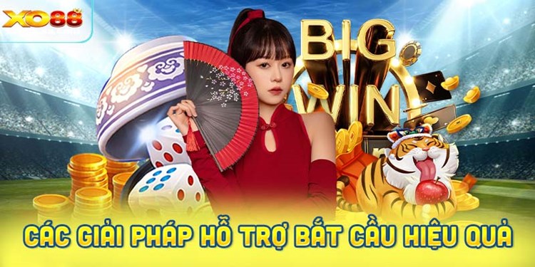 Các giải pháp hỗ trợ bắt cầu đạt hiệu quả tối ưu