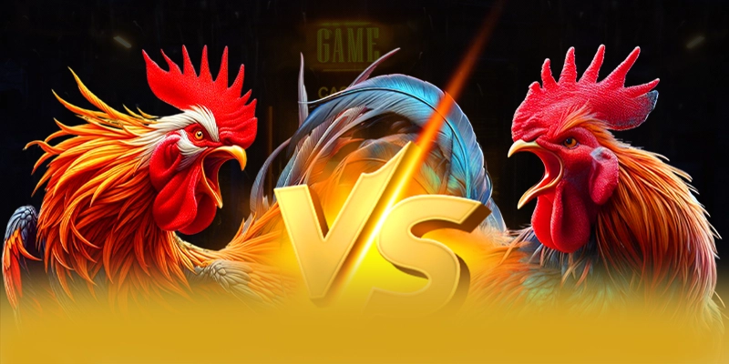 Độ tin cậy dữ liệu cá nhân tại BET88 Độ tin cậy dữ liệu cá nhân tại BET88