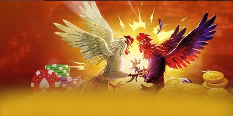 FAQ về BET168 FAQ về BET168