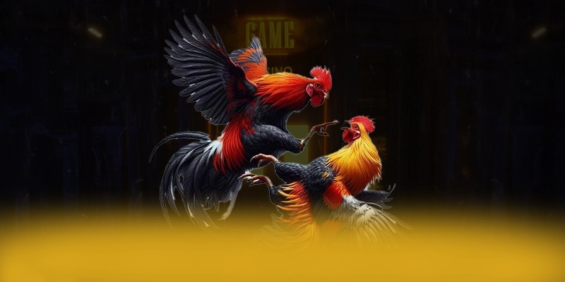 SUNWIN - Trang game uy tín tại Việt Nam